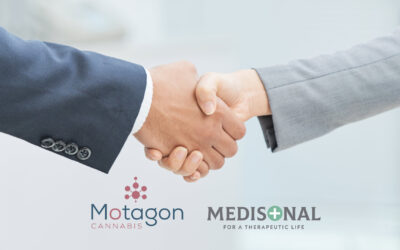 Motagon partners up with Medisonal to revamp the medical cannabis education system in the Czech Republic