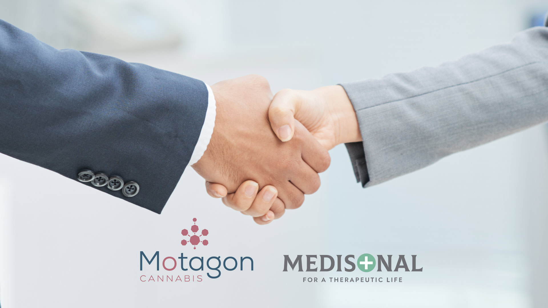 Motagon-Medisonal-optimized-for-web