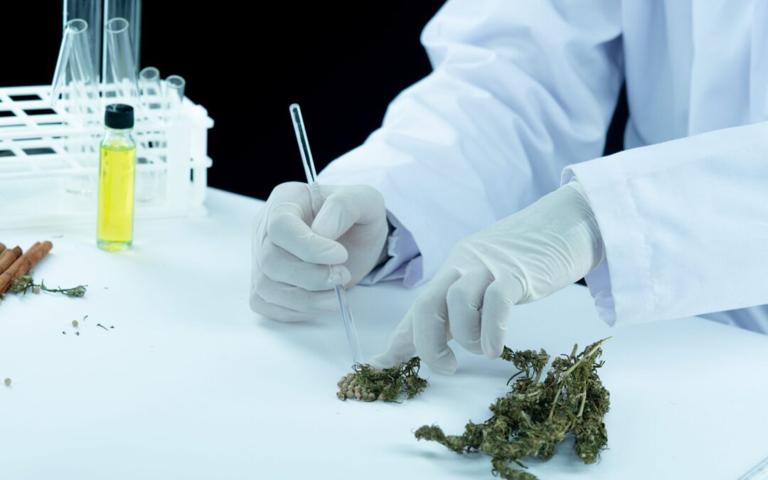 Cannabis treatment and the endocannabinoid system: Everything patients need to know