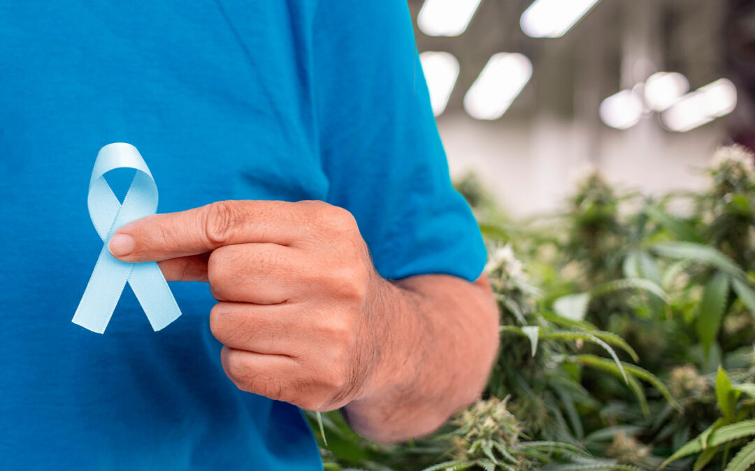 Medical Cannabis in Oncology